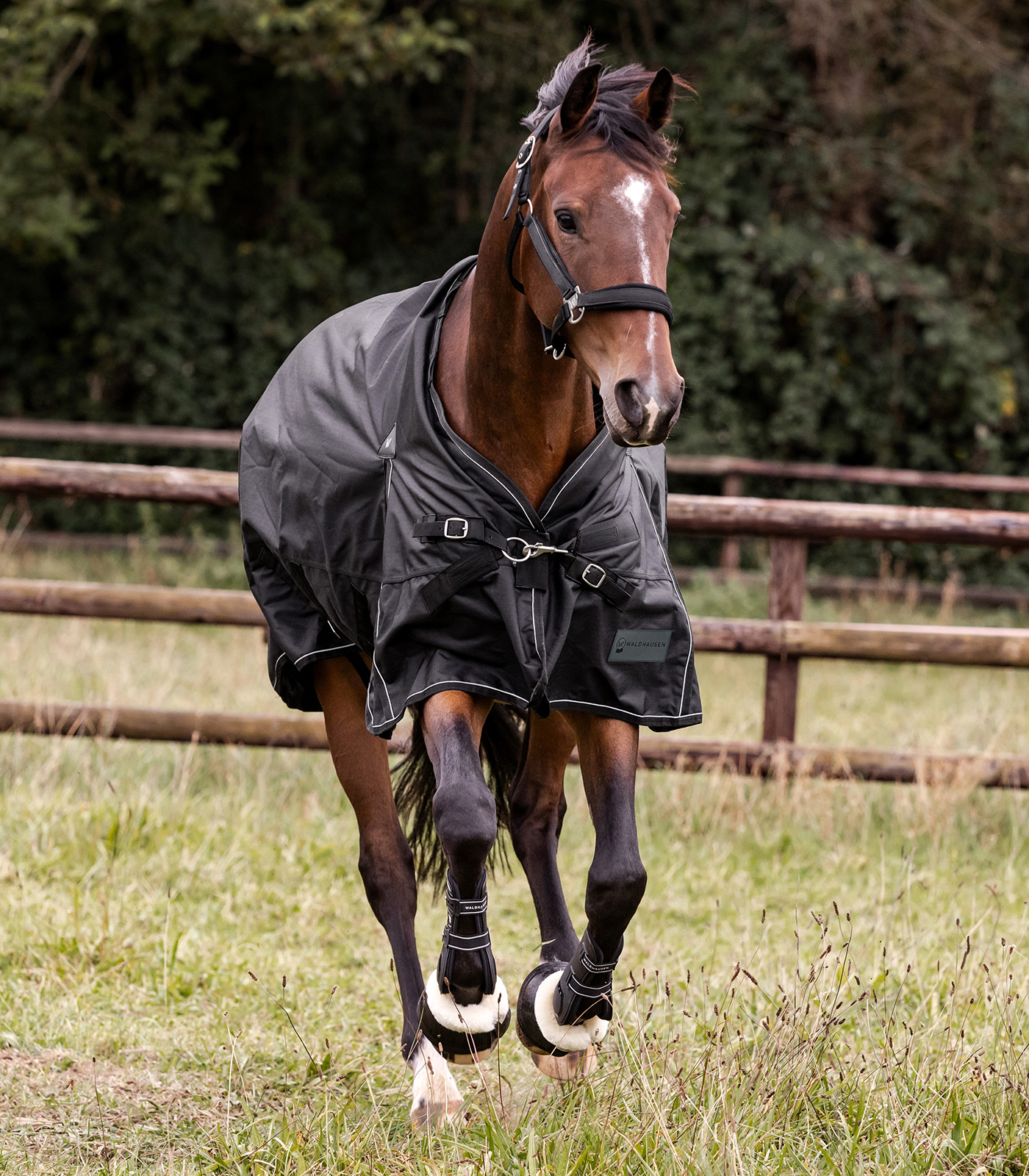 Outdoordecke Scandic, 100g