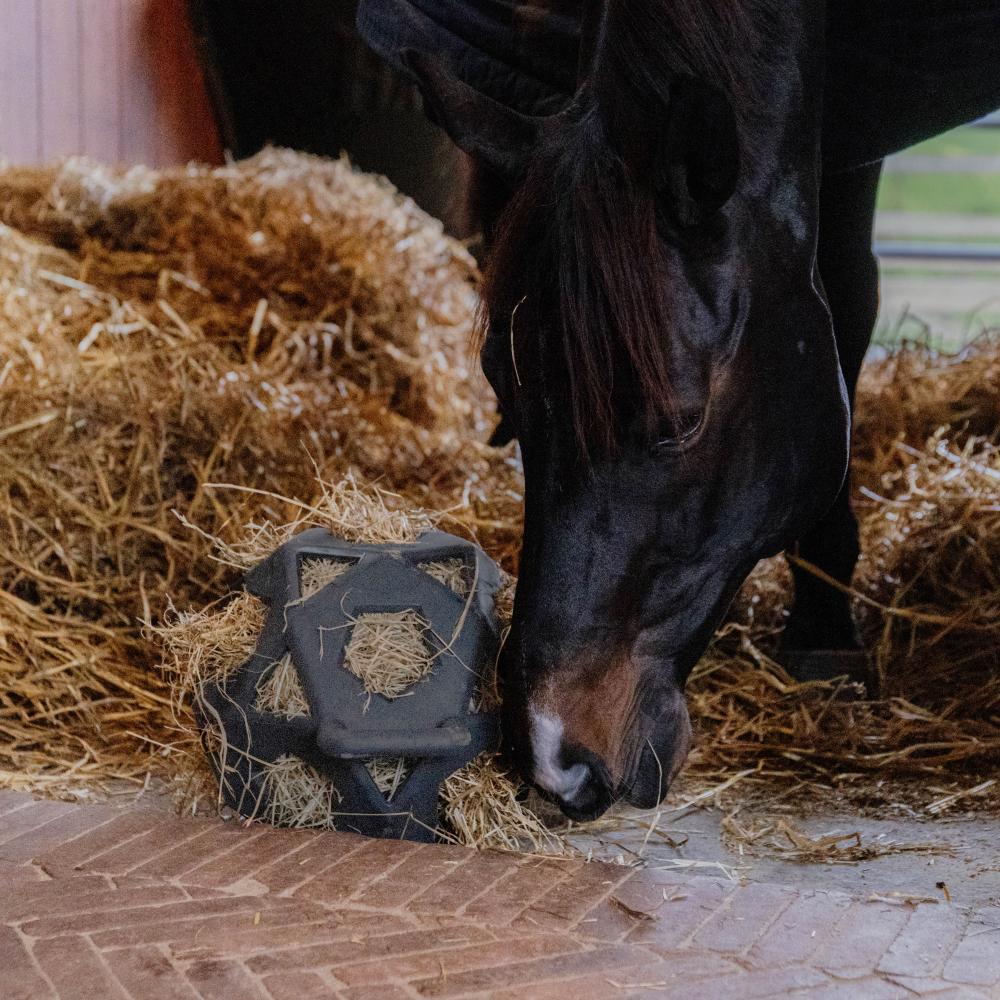 Relax horse game & hay ball
