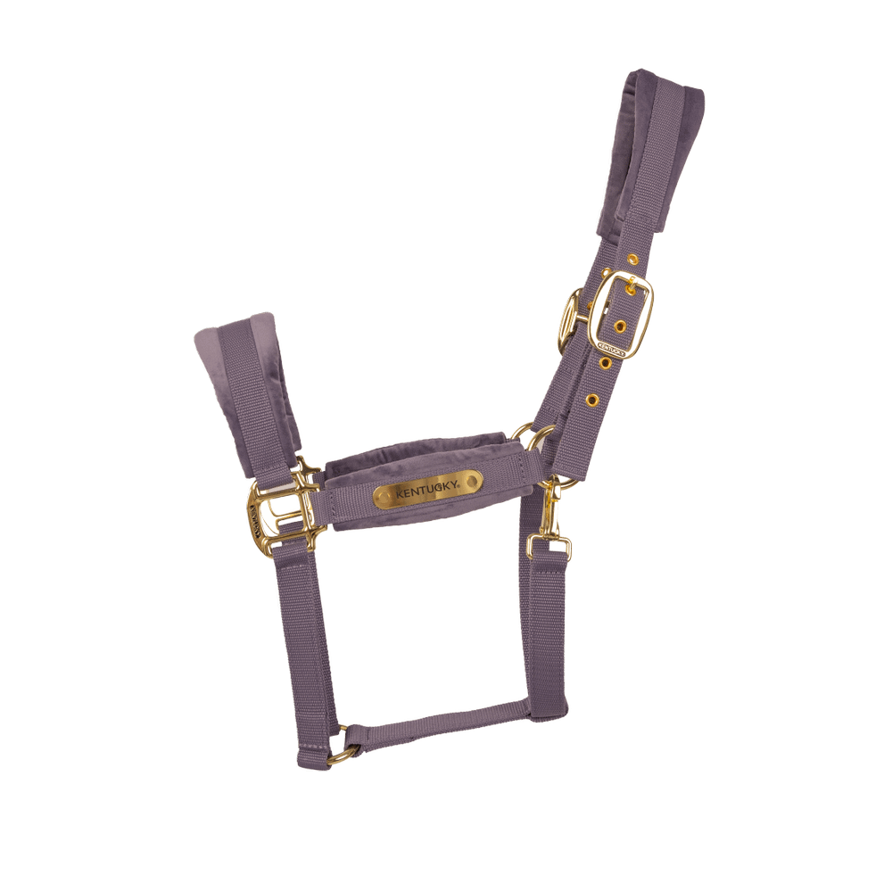Velvet halter