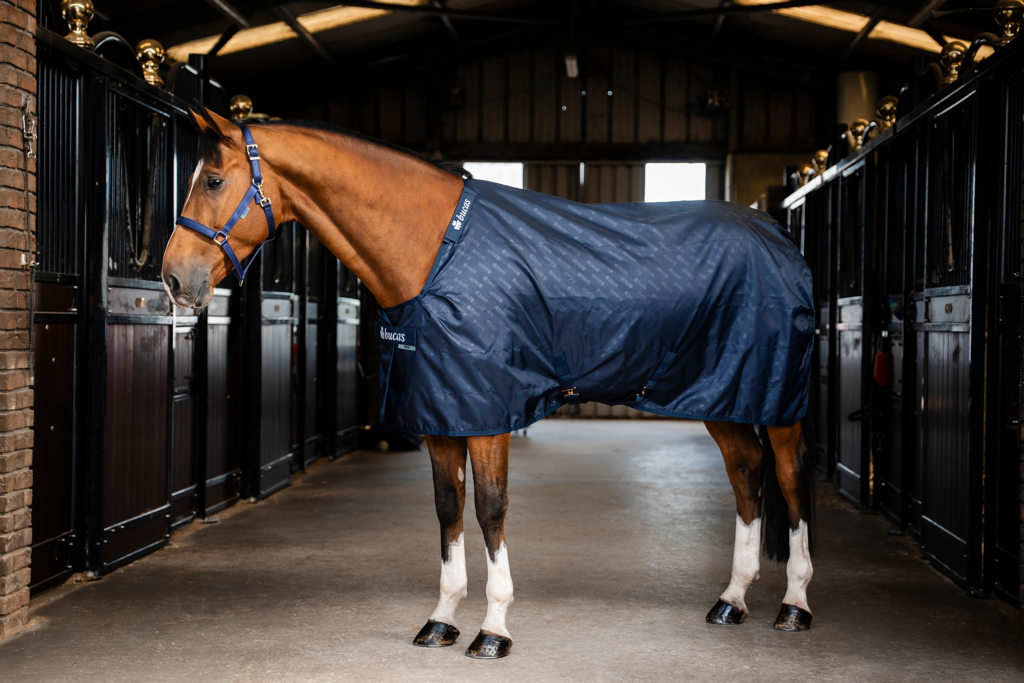 Stalldecke Stable Sheet in Navy/Navy