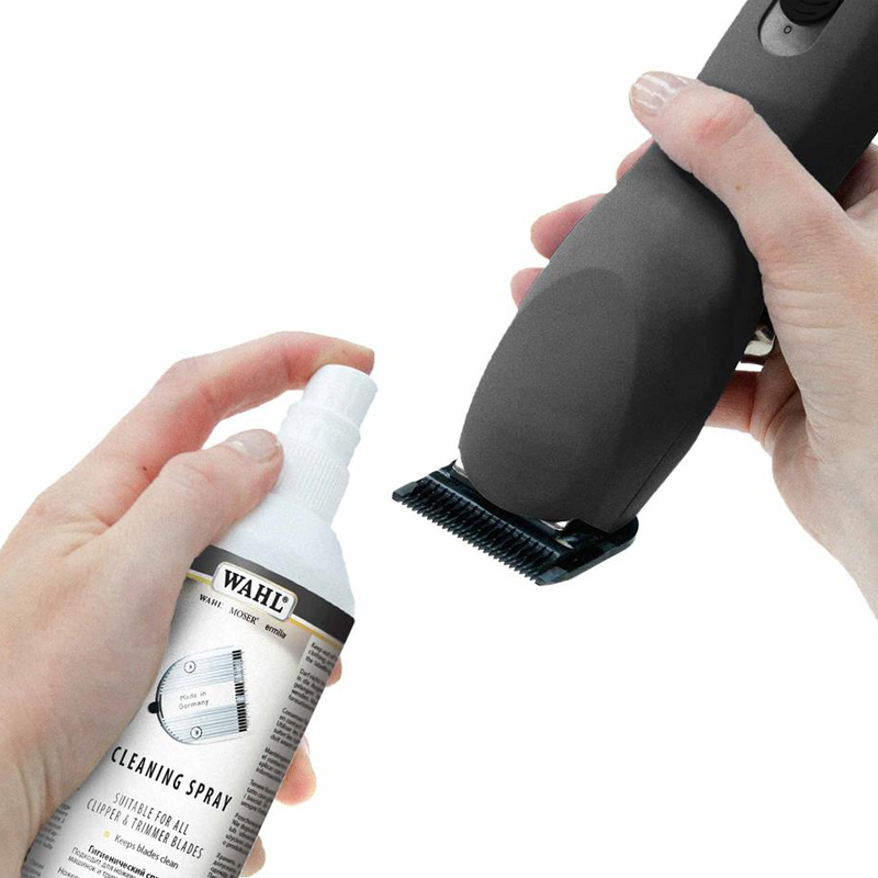 Reinigungspray