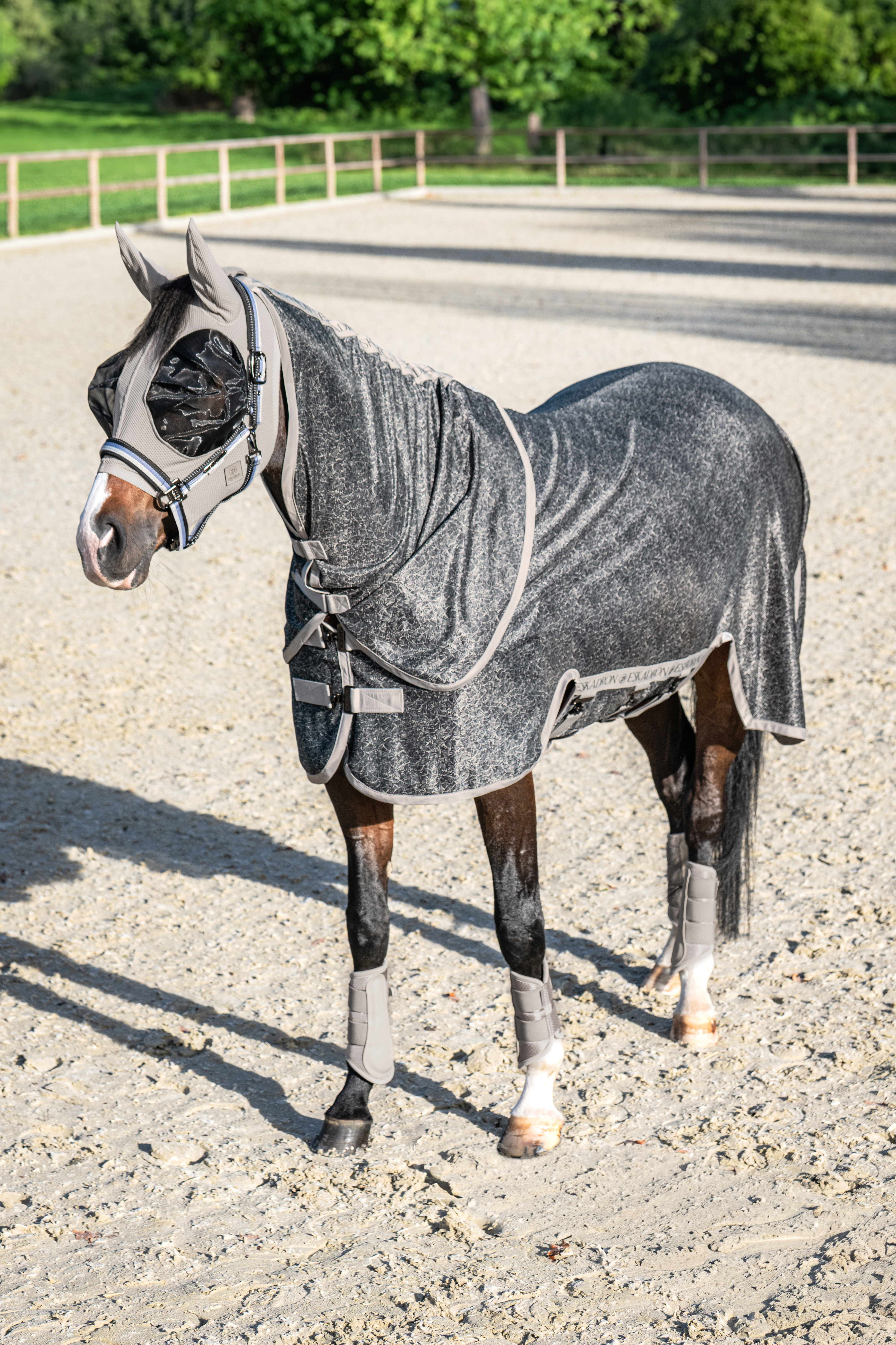 Fliegendecke Platinum Detach-Neck in pale grey