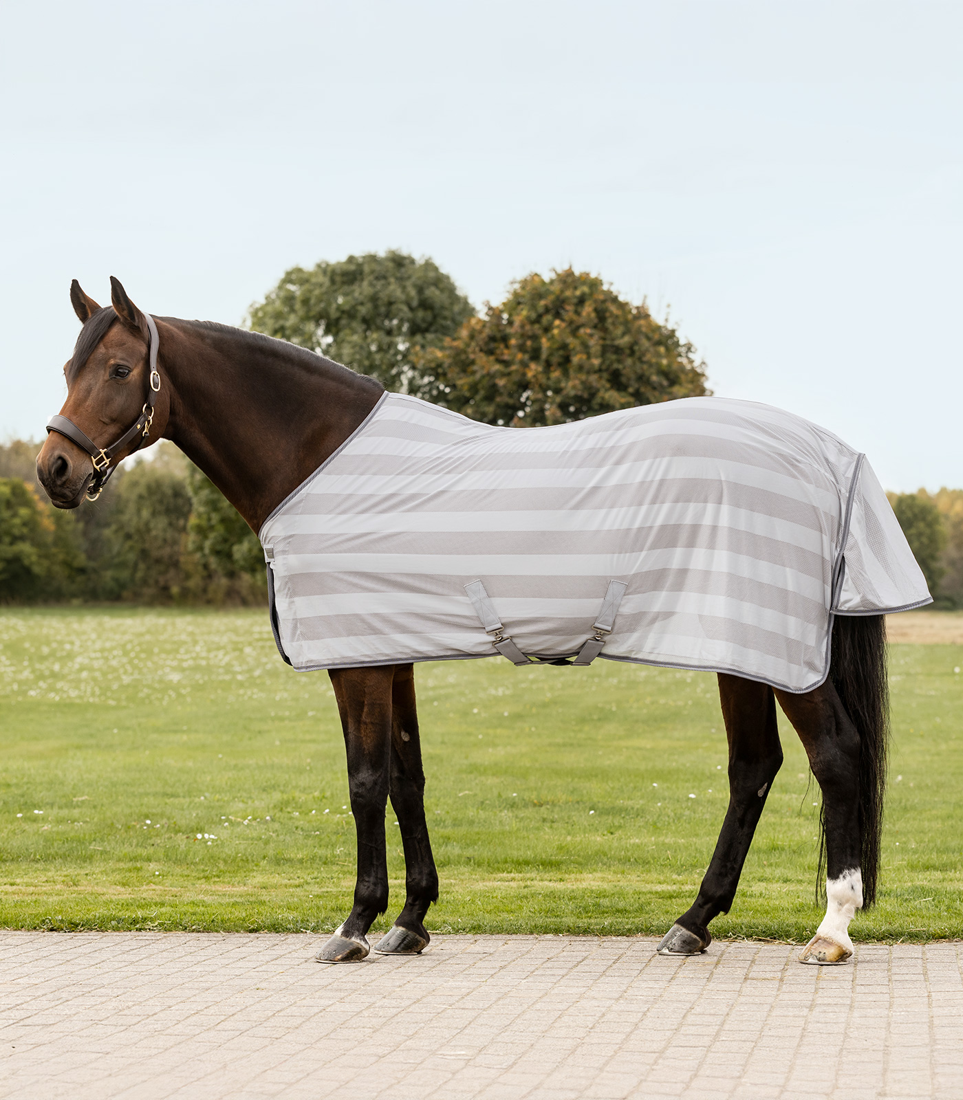 Fly rug Economic cross surcingles