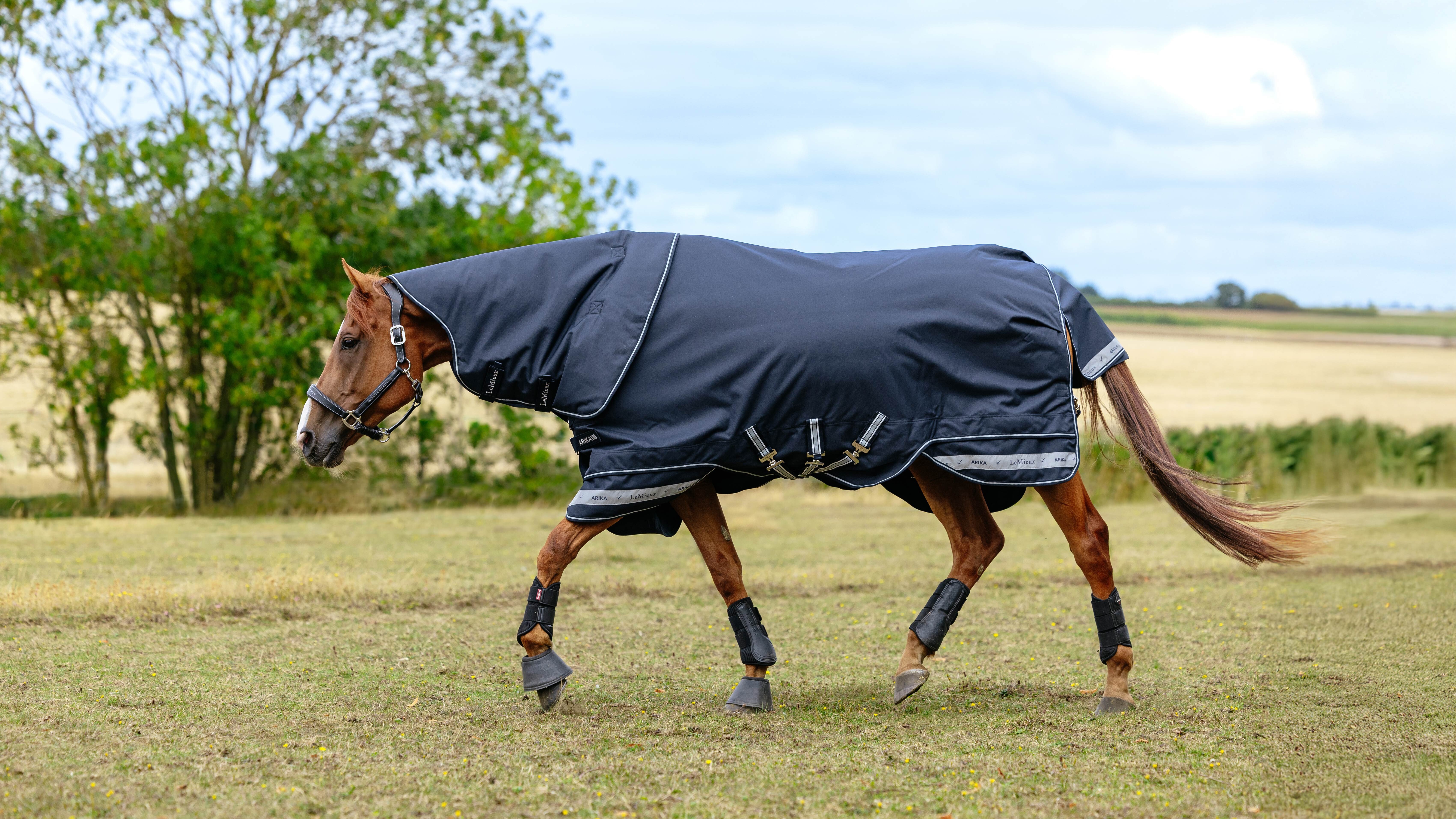 Arika Storm-Tek Weidedecke 350G