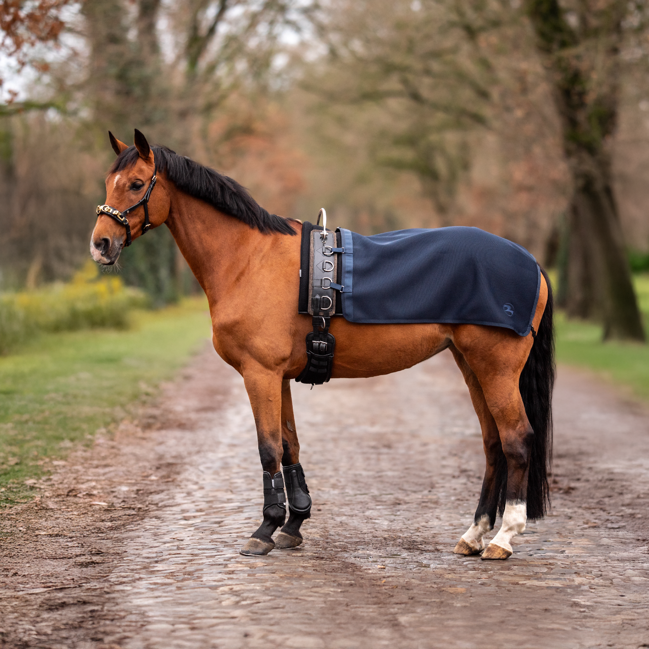 Lunging rug 3D AIR ST