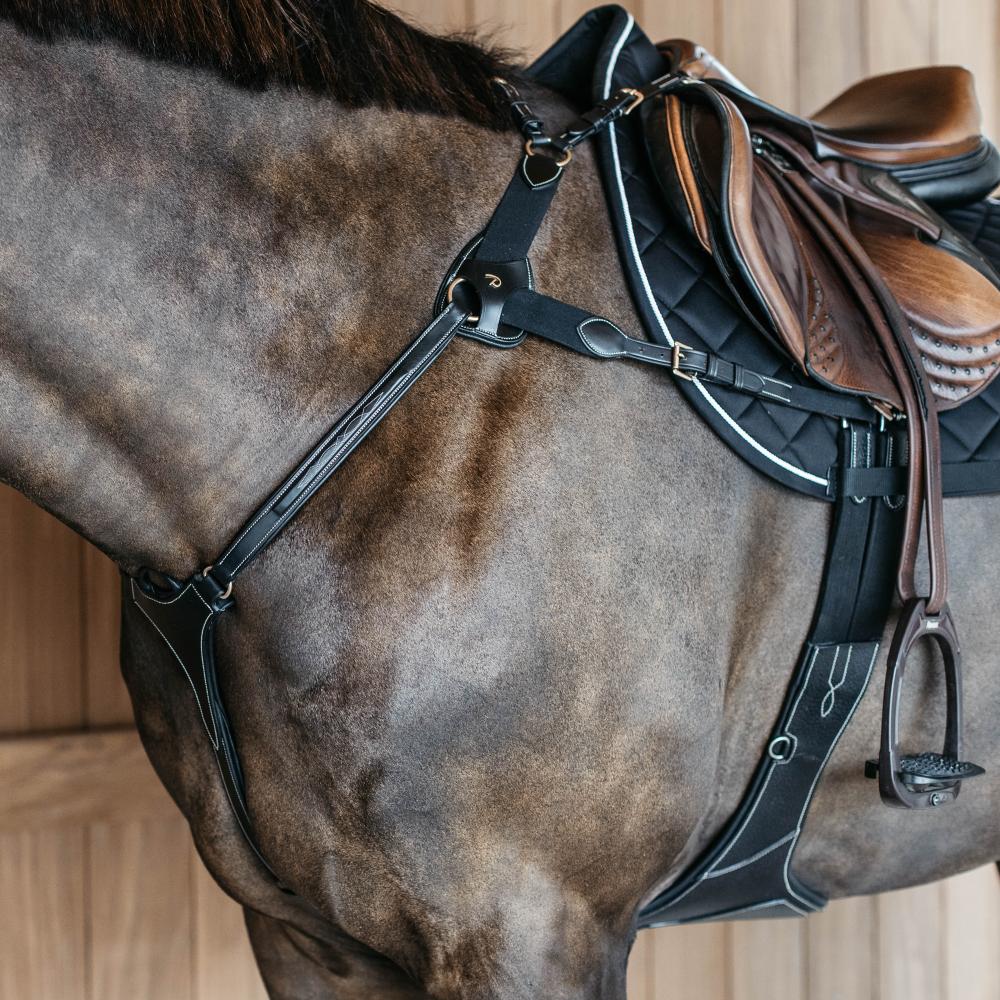 5-Punkt-Brustblatt mit Elastik | Dy'on