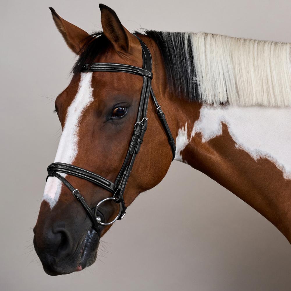 Trense mit kombiniertem Reithalfter US