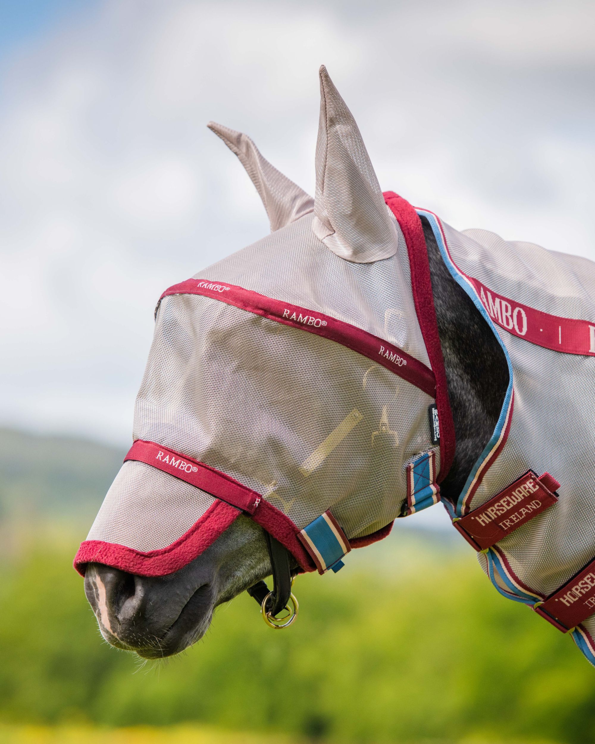 Fly mask Rambo Flymask Plus non treated