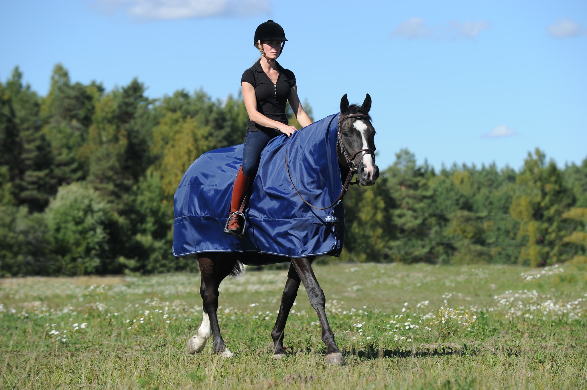 Regendecke Rain Protector in Navy/Navy