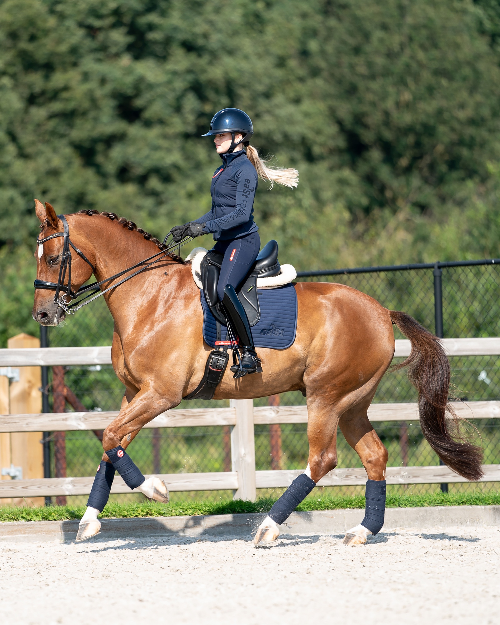 Ladies riding leggings REGGINGS® R1 