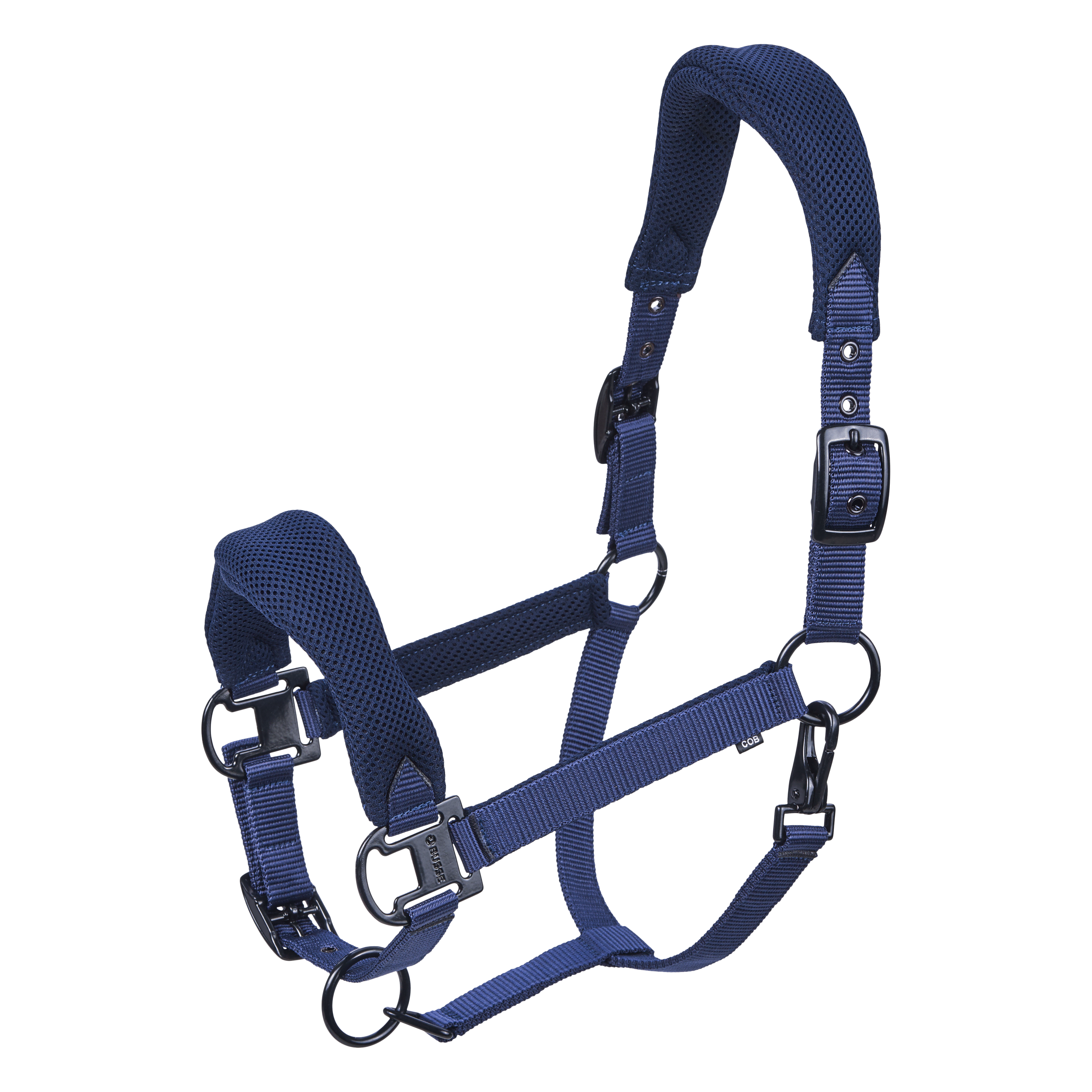 Headcollar AESTHETIC AR