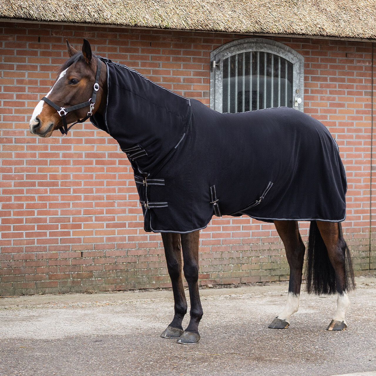 Abschwitzdecke Terry-dry in schwarz