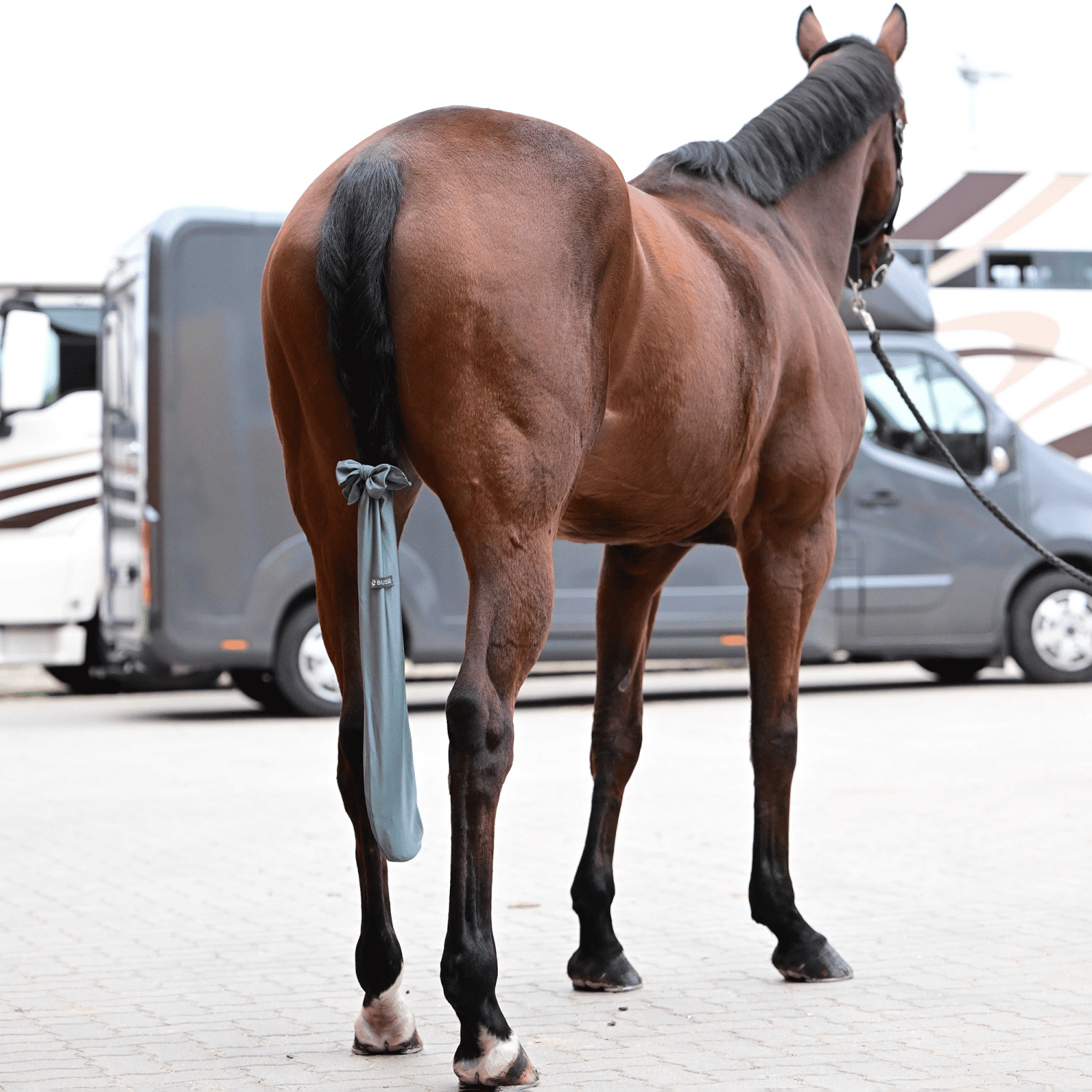 Schweifschoner Clean