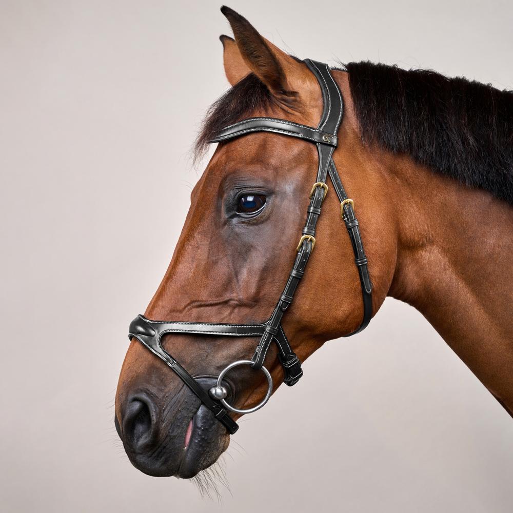 Snaffle X-fit