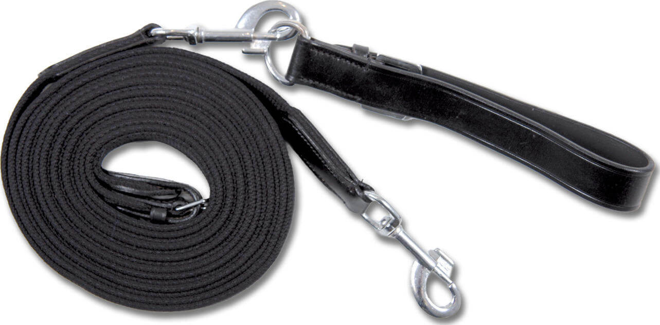 Star draw reins with webbing