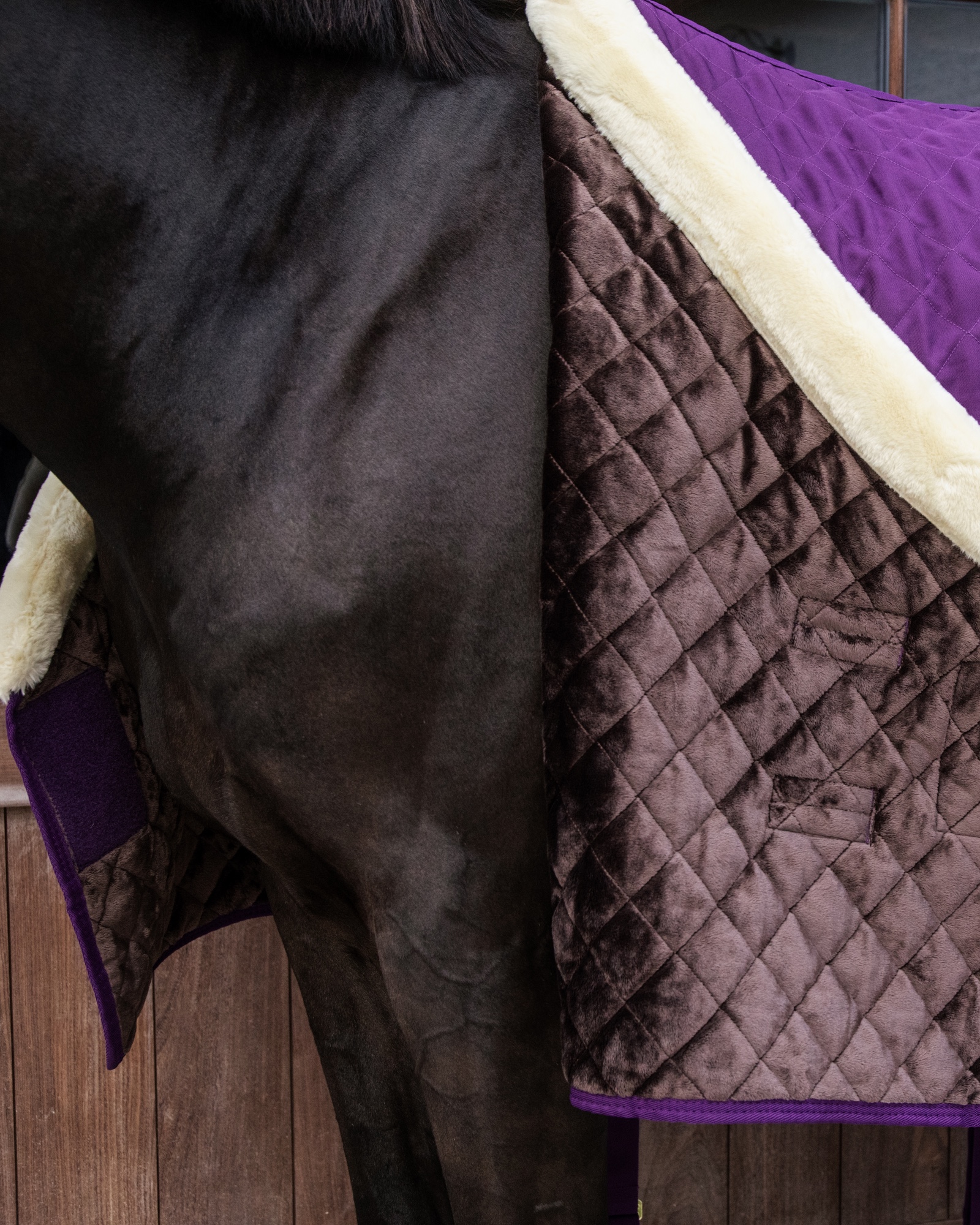 Show rug Show Rug 160g