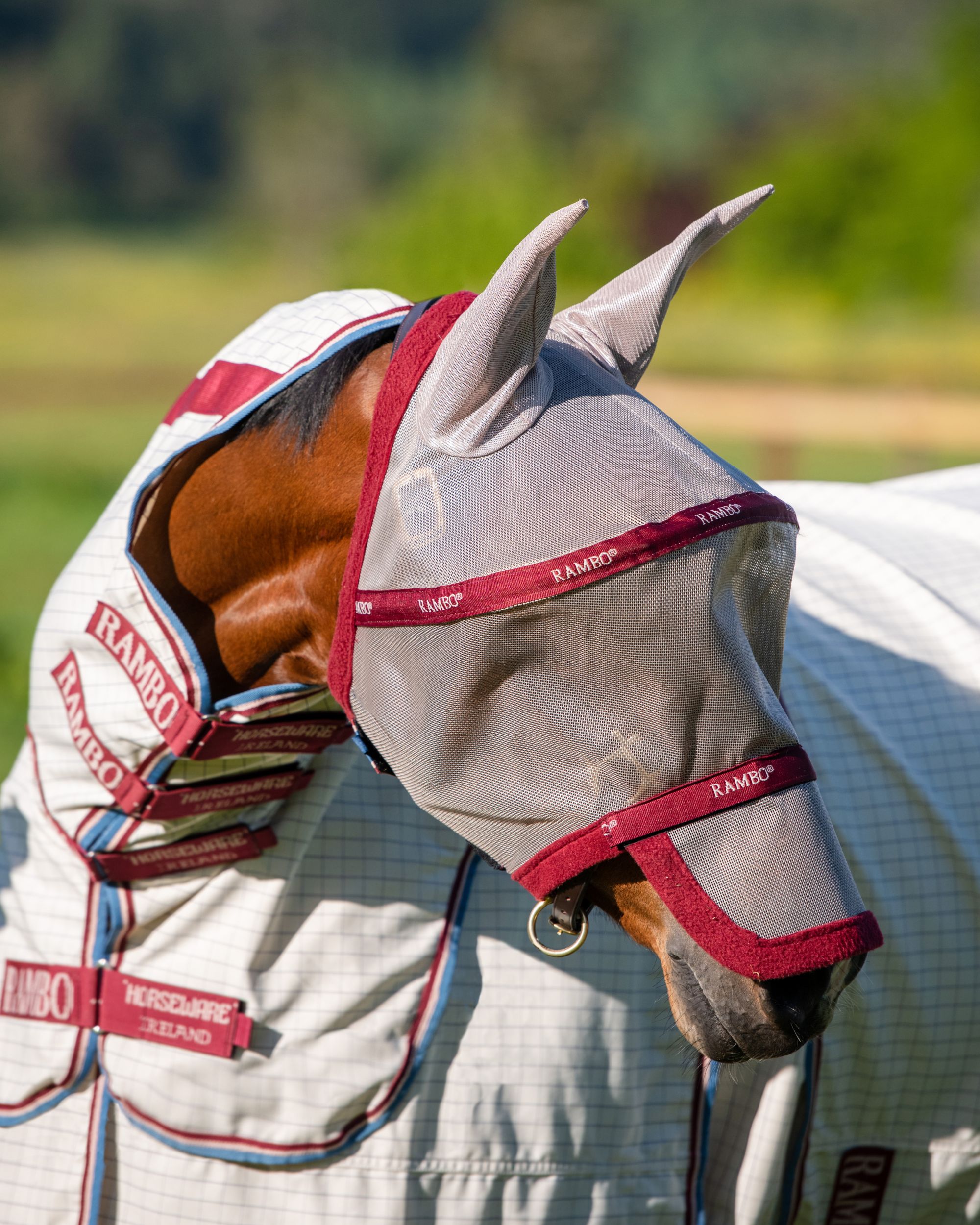 Fly mask Rambo Flymask Plus non treated