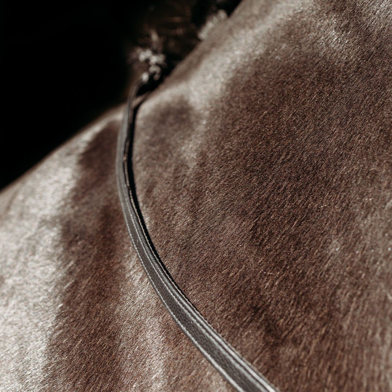 Reins FayRein
