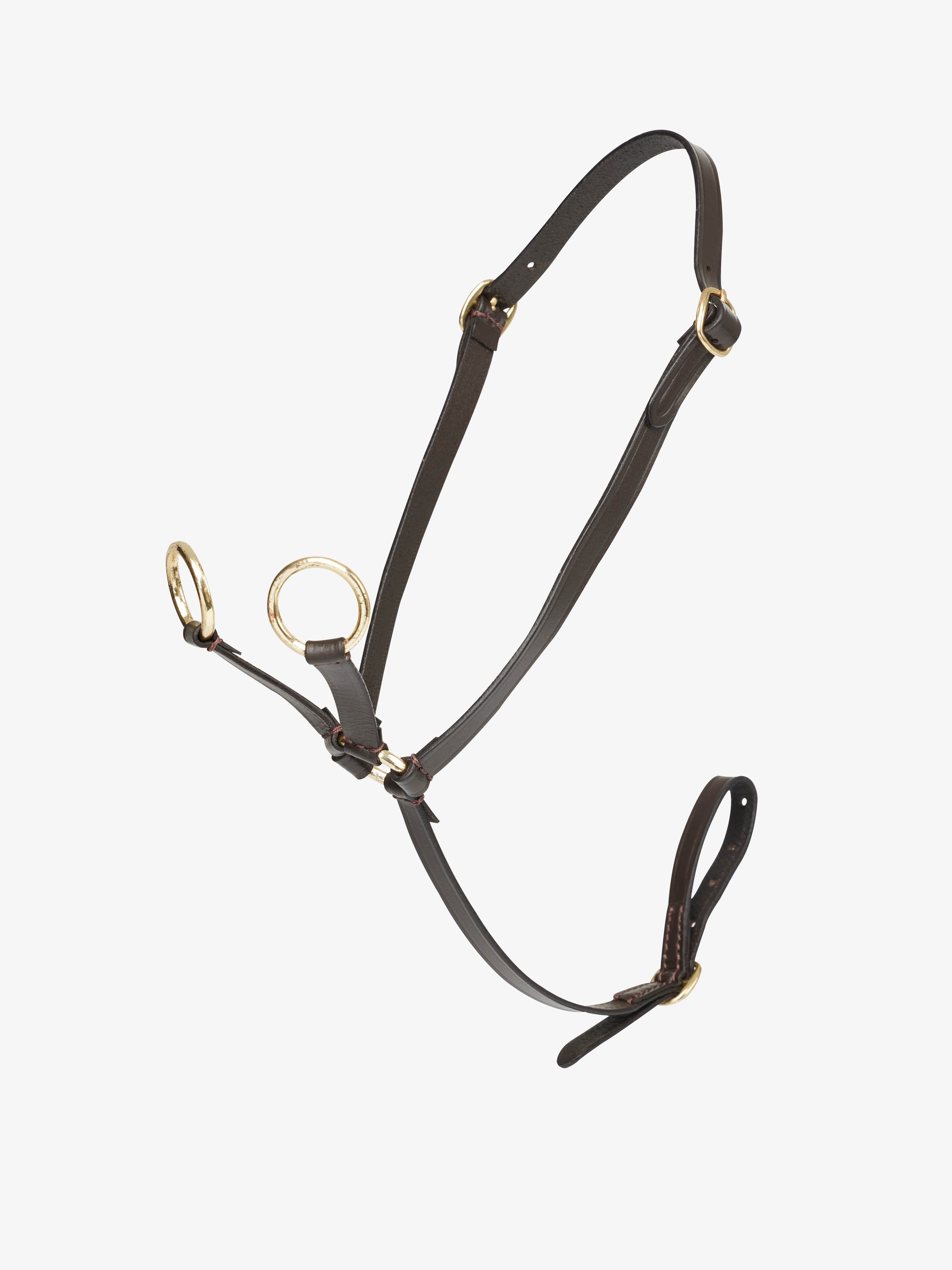 Toy Pony martingale in black