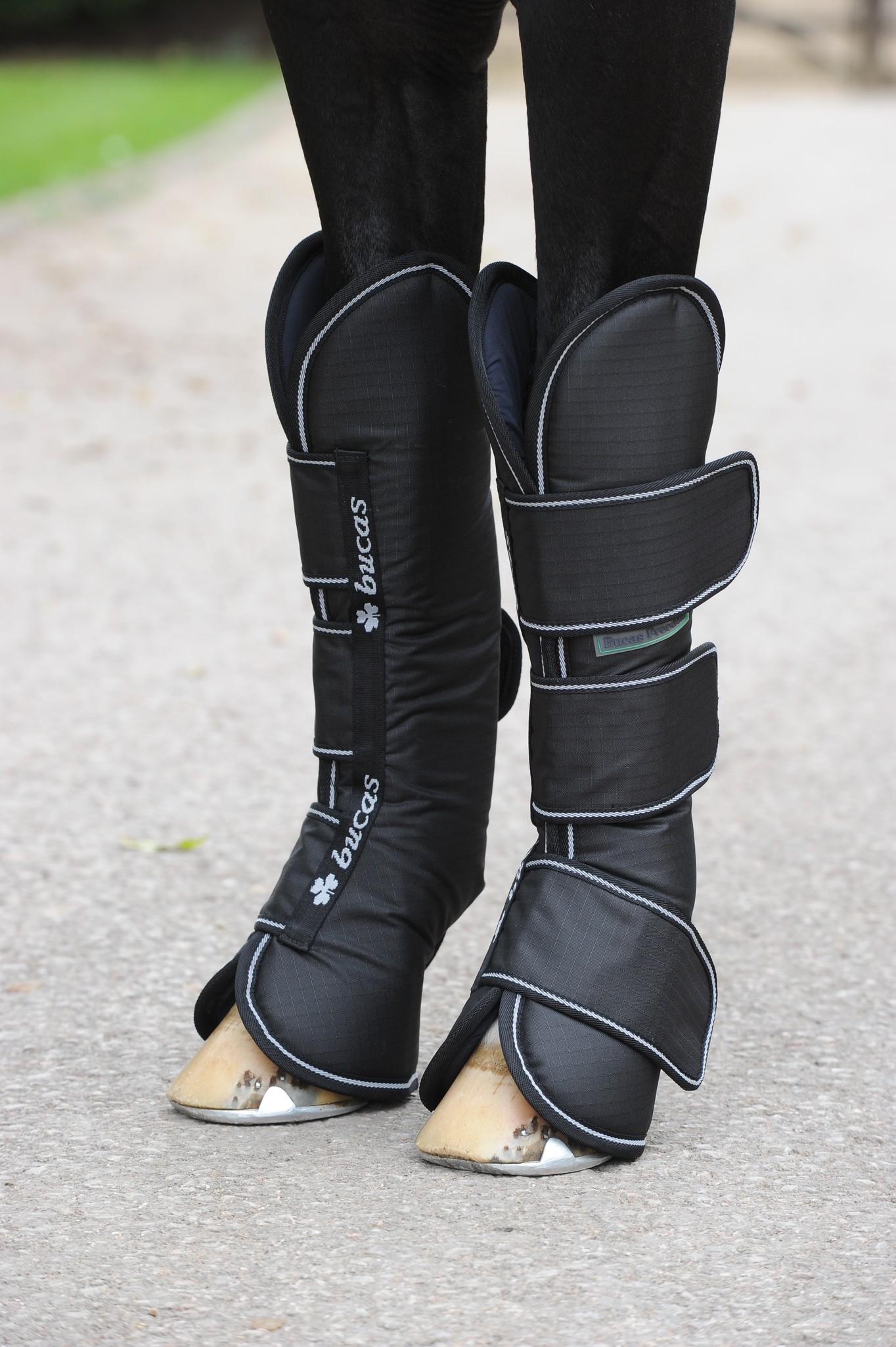 Transportgamaschen Freedom Boots in Black