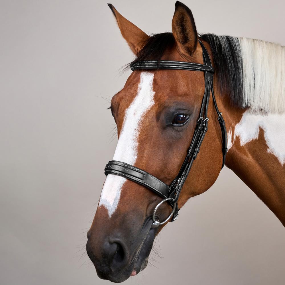 Hunter Trense mit breitem englischem Reithalfter US