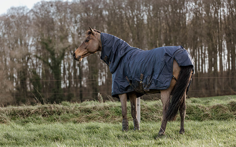 Kentucky Outdoordecken Pferd mit Kentucky Hurricane Decke auf Weide