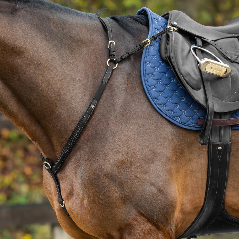 Vorderzeug mit Brücke | Dy'on