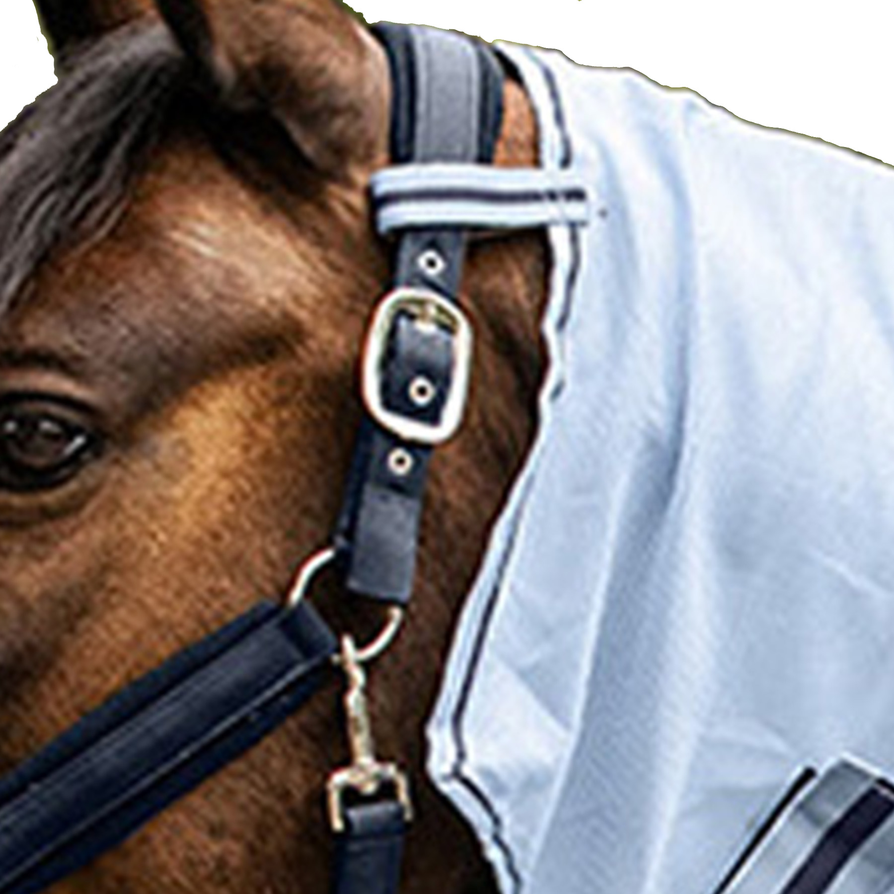 Fliegen-Halsdecke Protect