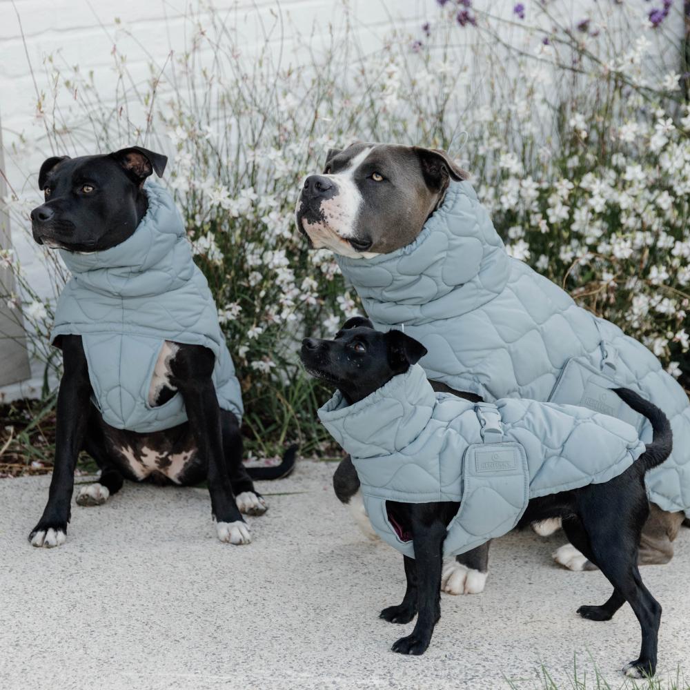 Hundemäntel Winter Pina