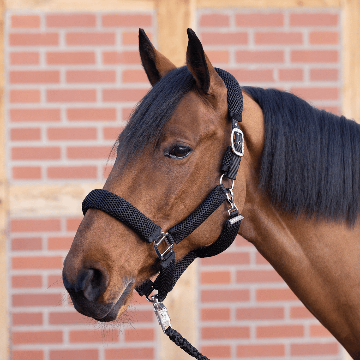 Halfter 3D Air Effect Plus