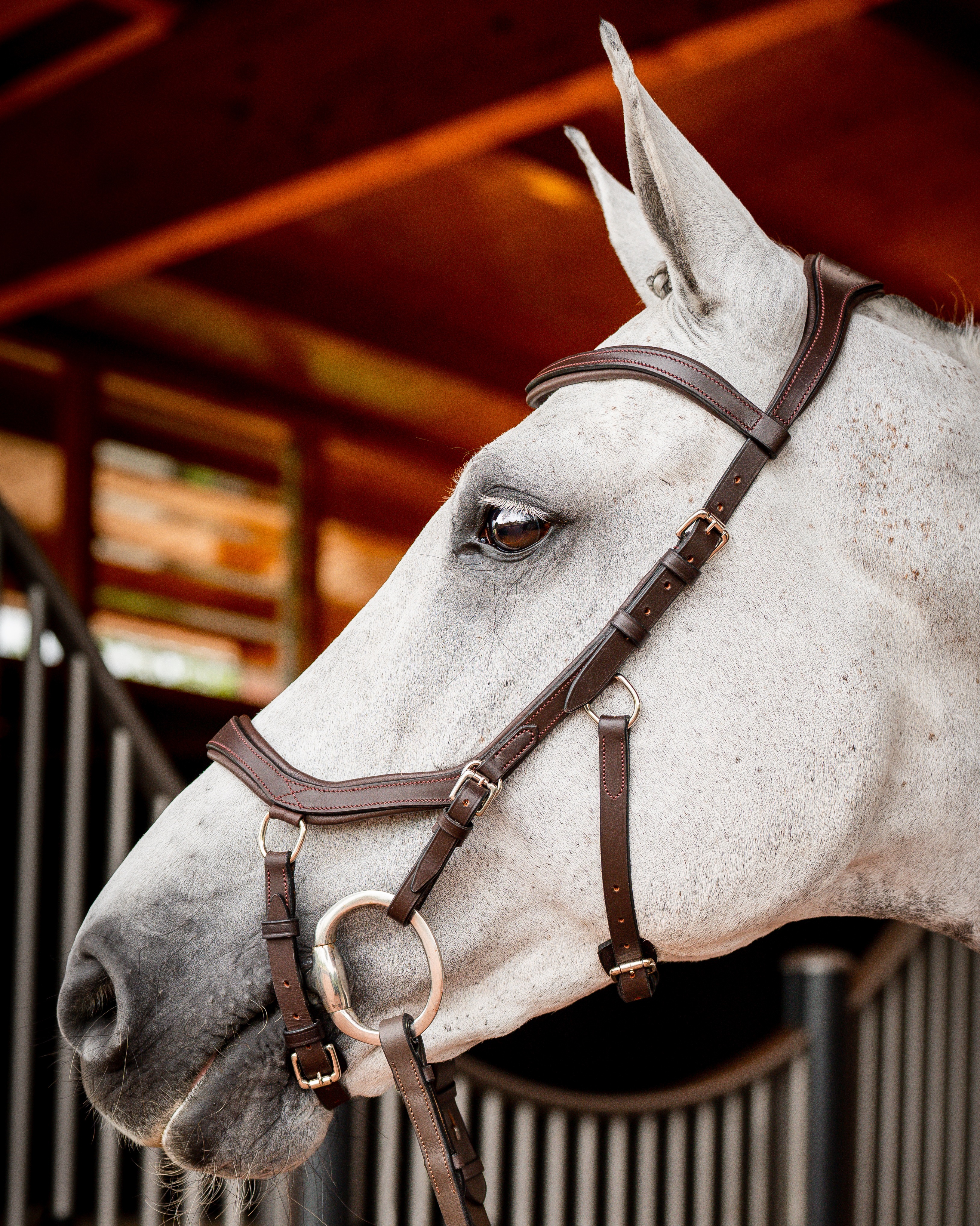 Trense Micklem Competition New in dark havana