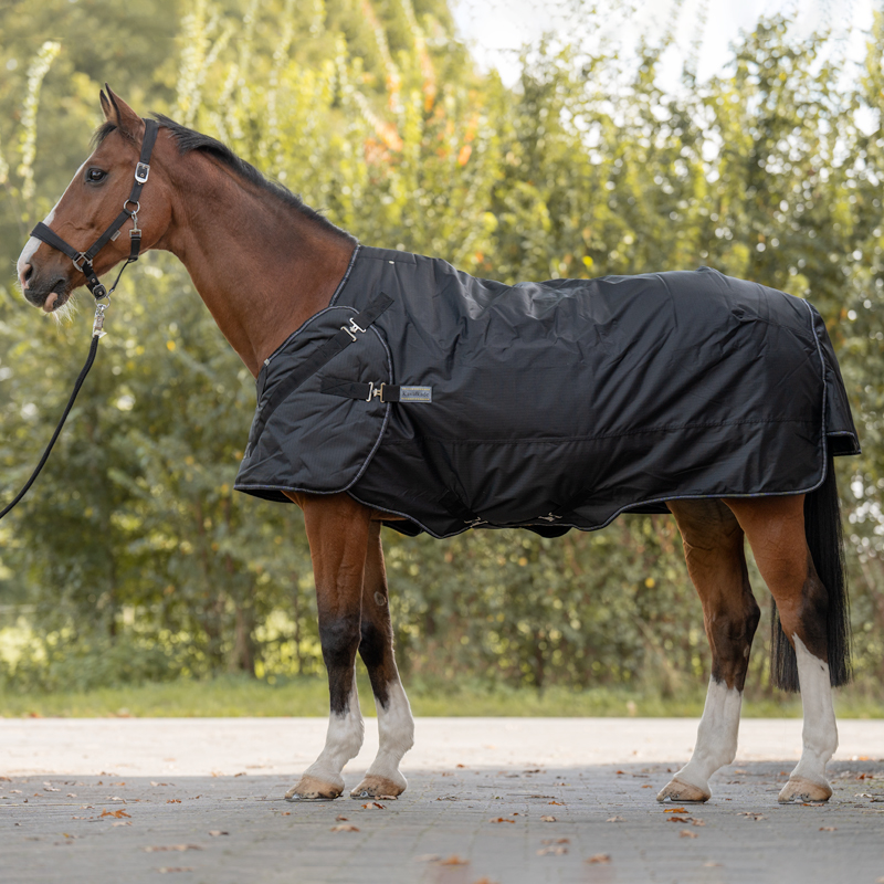 "Halifax" 2in1 Outdoor- und Führanlagendecke 50g