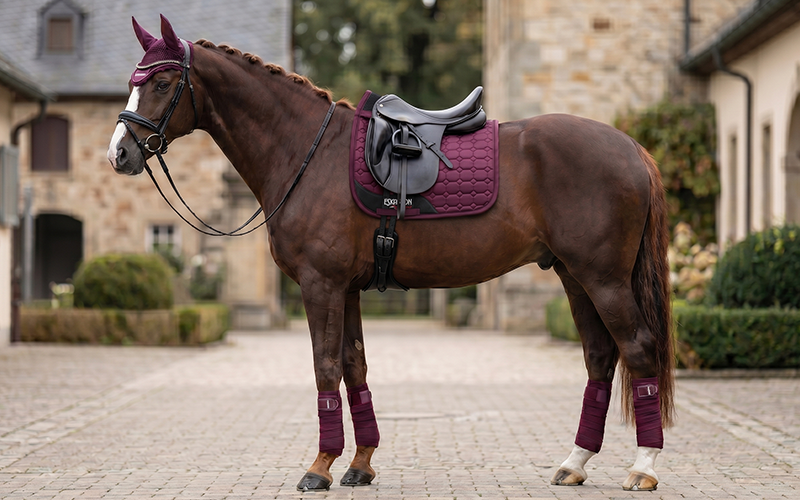 Fuchs mit Bordeaux Outfit