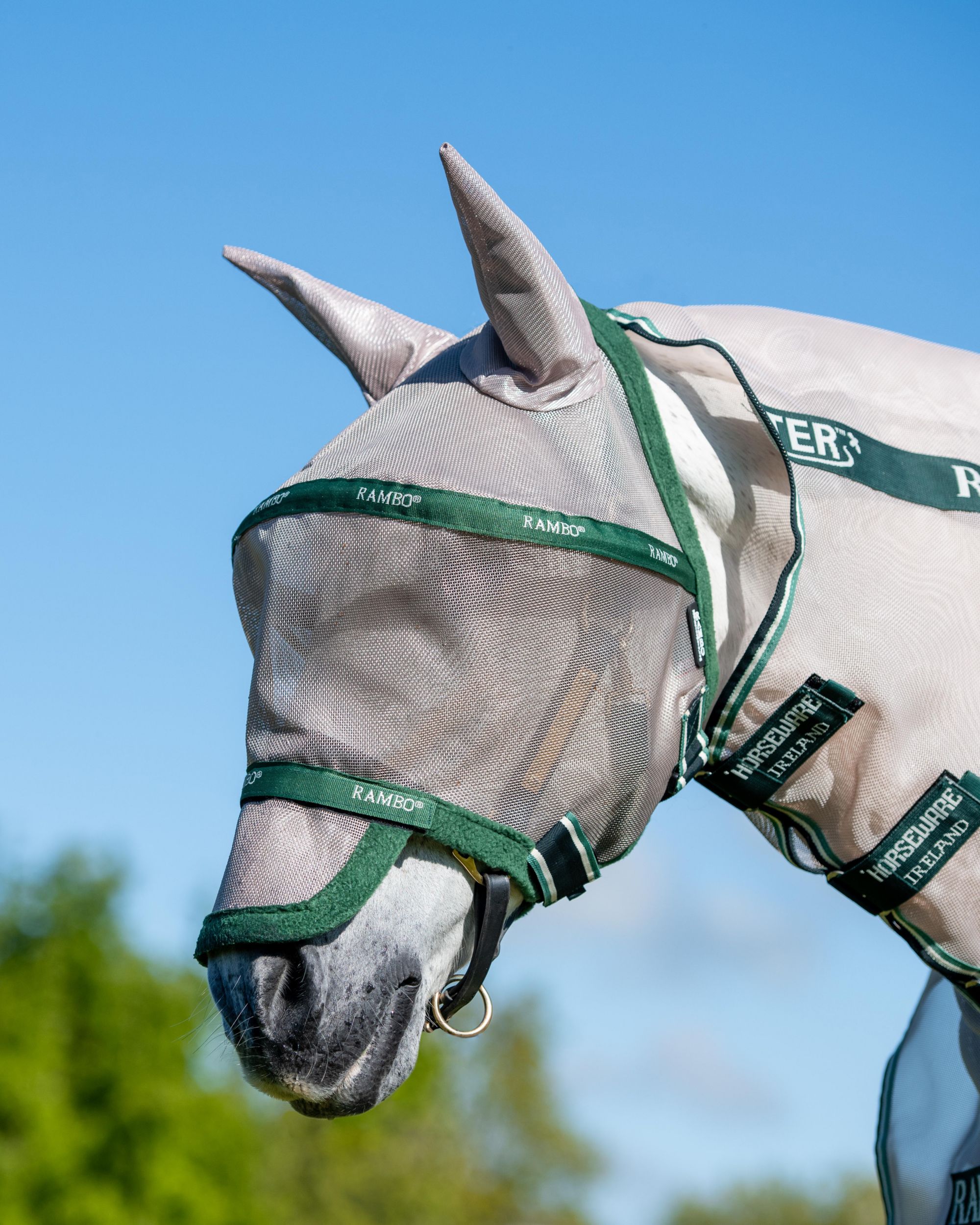 Fly mask Rambo Flymask Plus non treated