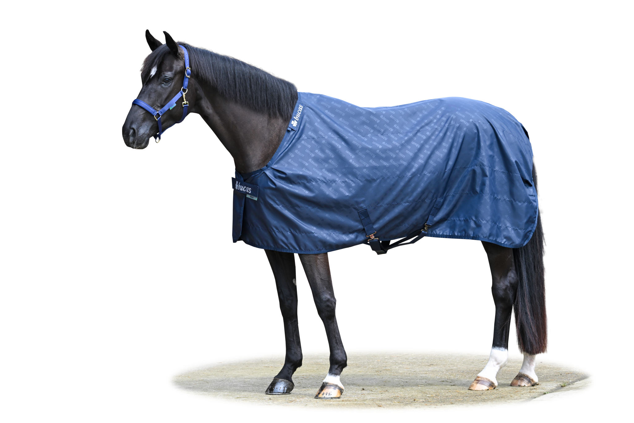 Stalldecke Stable Sheet in Navy/Navy
