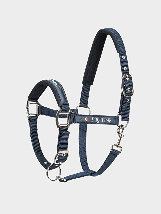 Timmy halter