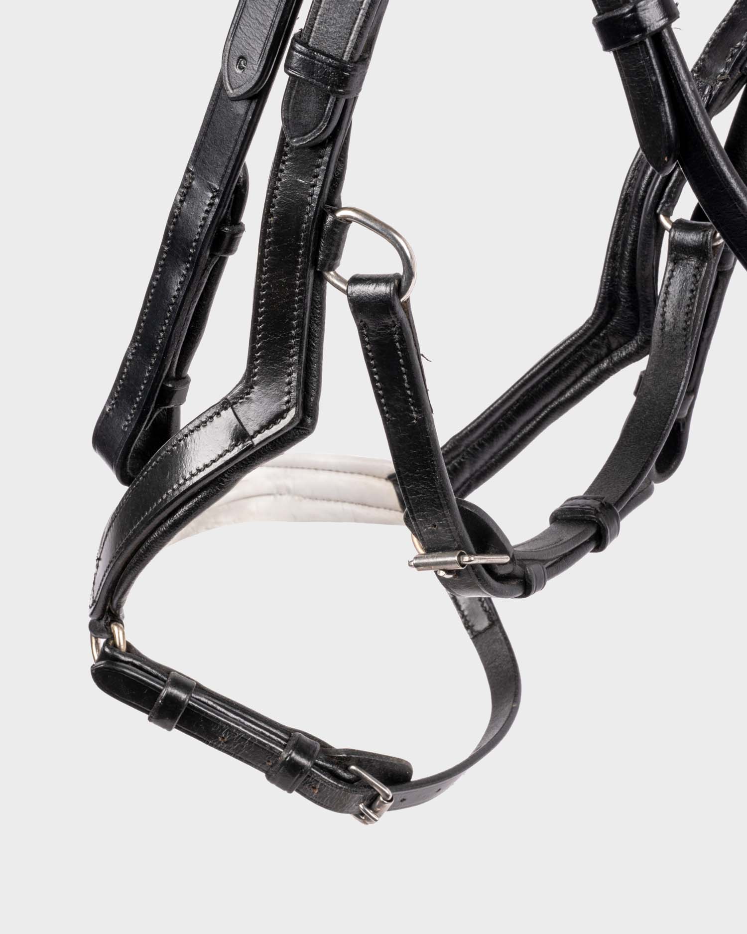 Snaffle Feeling