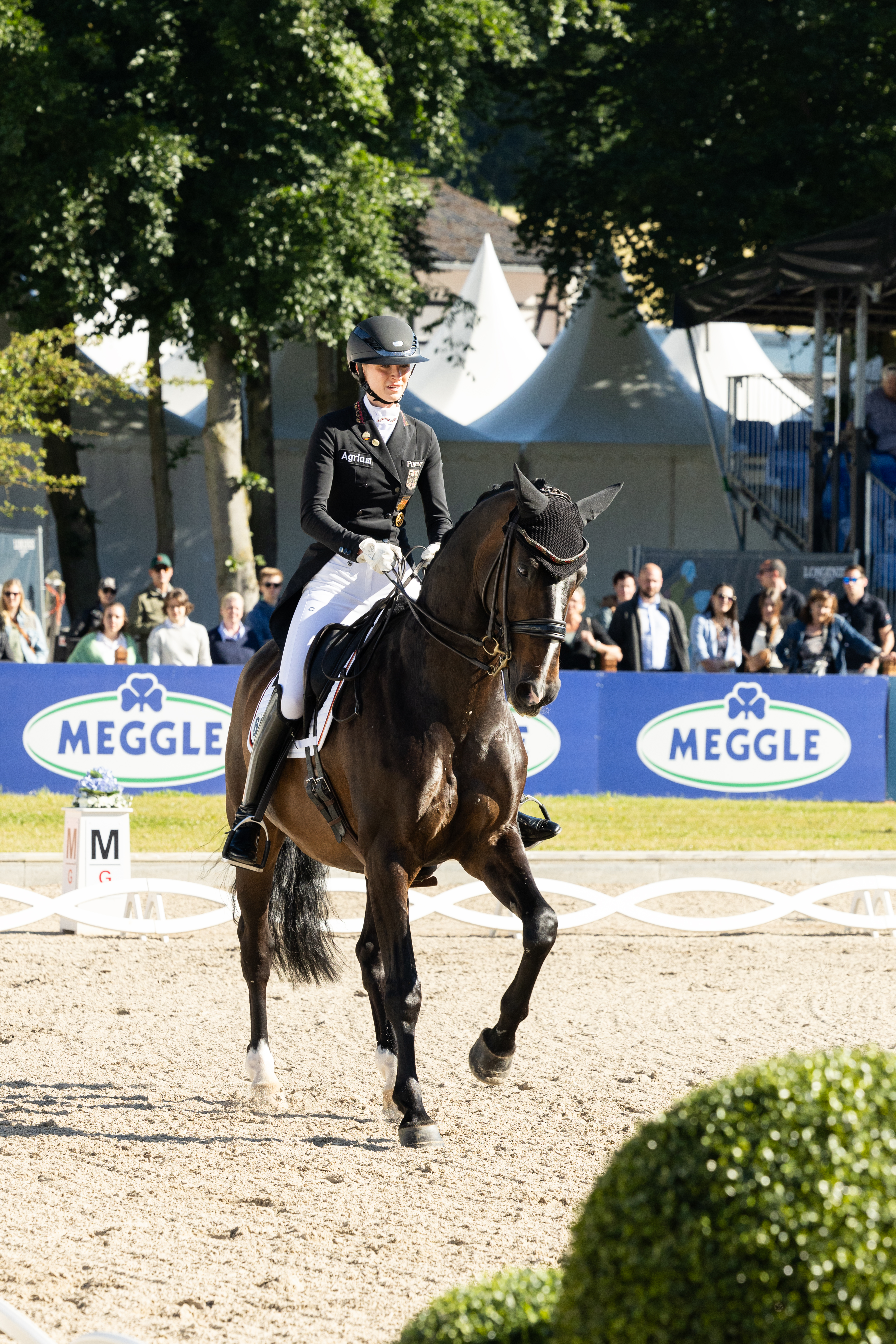 Reithose Damen Laure Sd