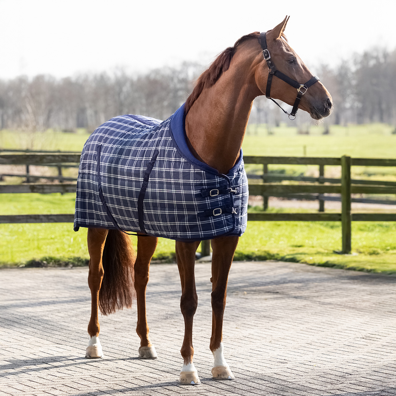 Stalldecke Luxus 300gr