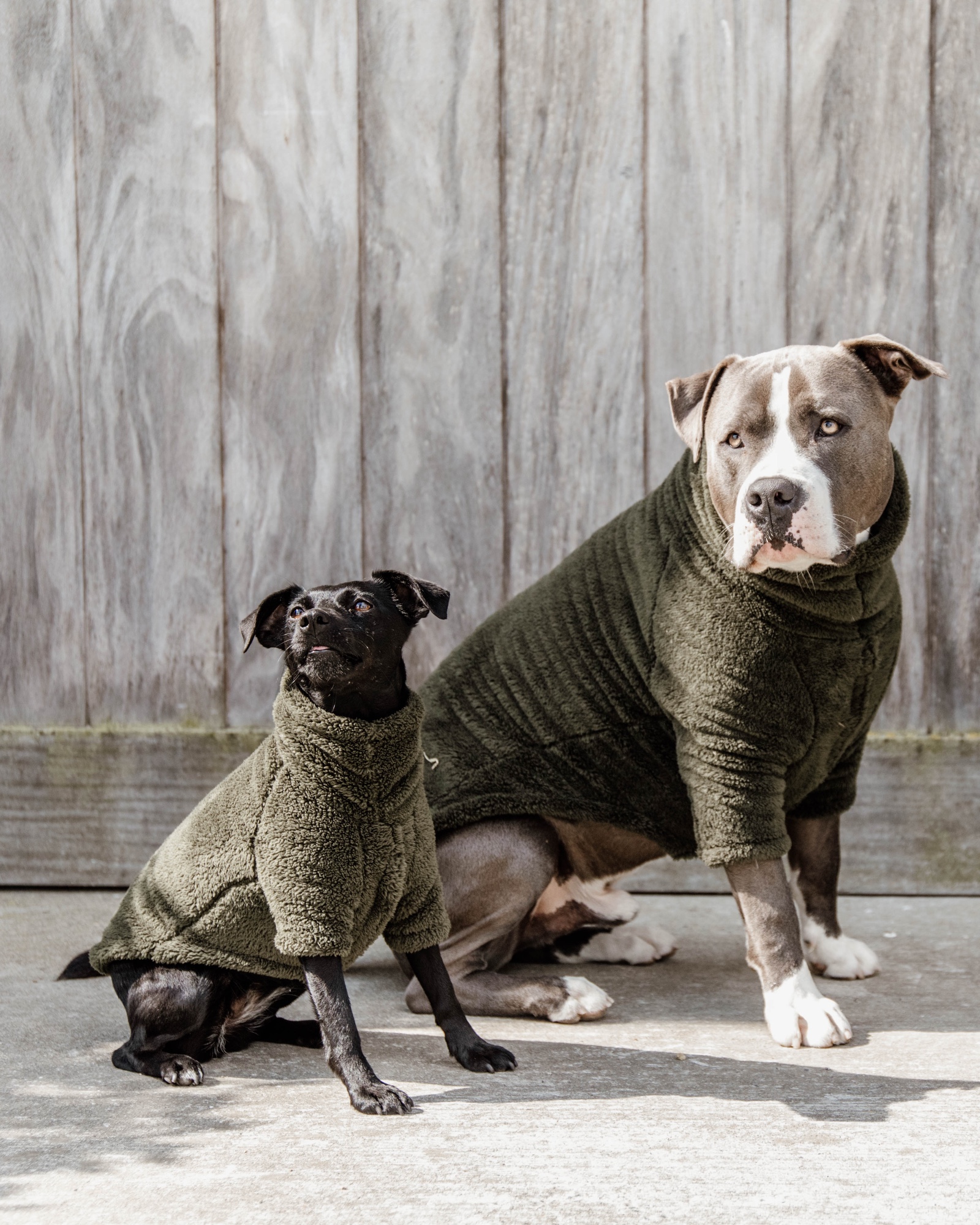 Teddy fleece dog jumper