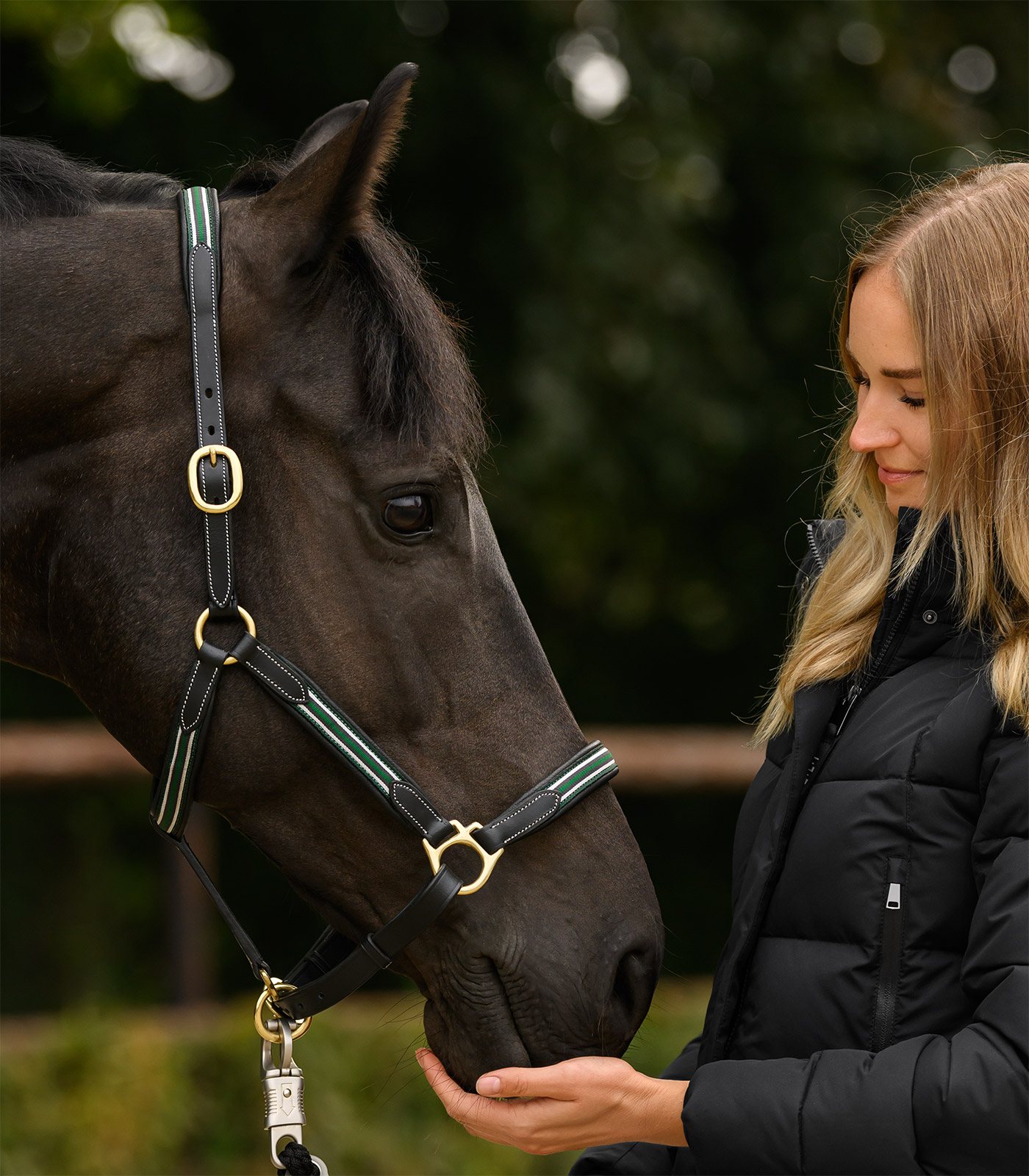 X-Line Lederhalfter Oxford in schwarz
