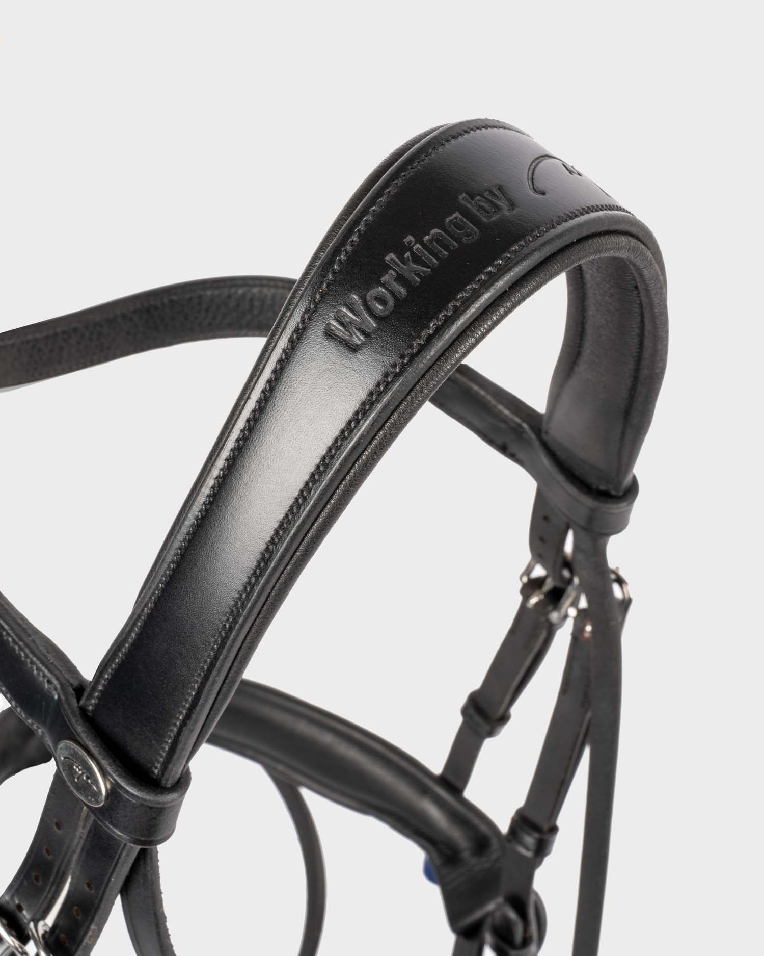 Snaffle bridle wide swedish-combined lacquer