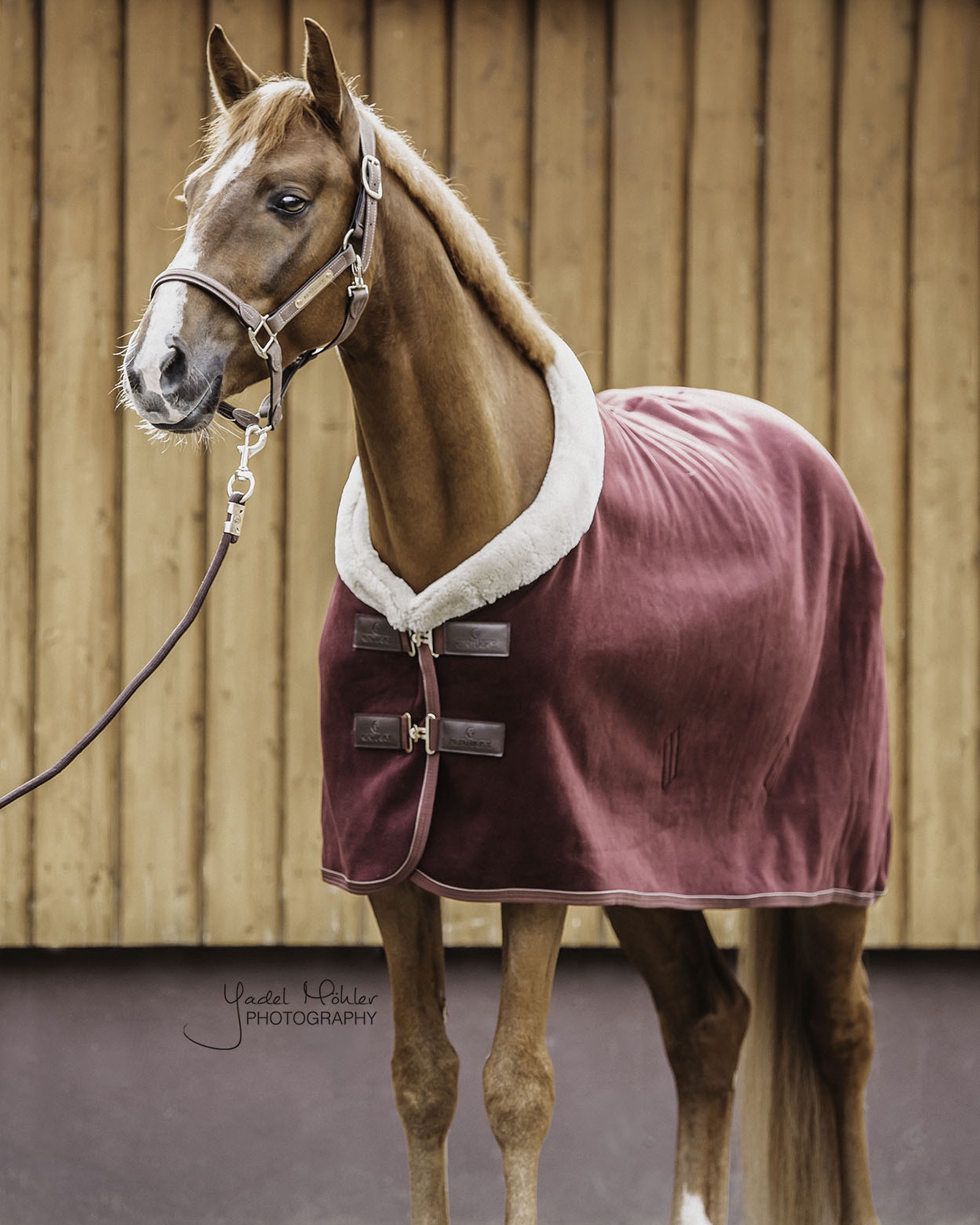 Fleece Show Heavy sweat rug