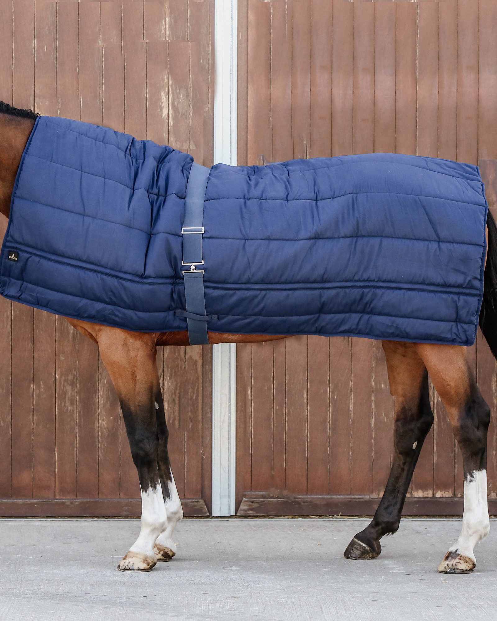 Down duvet horse 300g