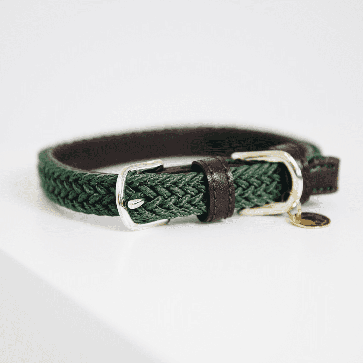 Braided nylon dog collar