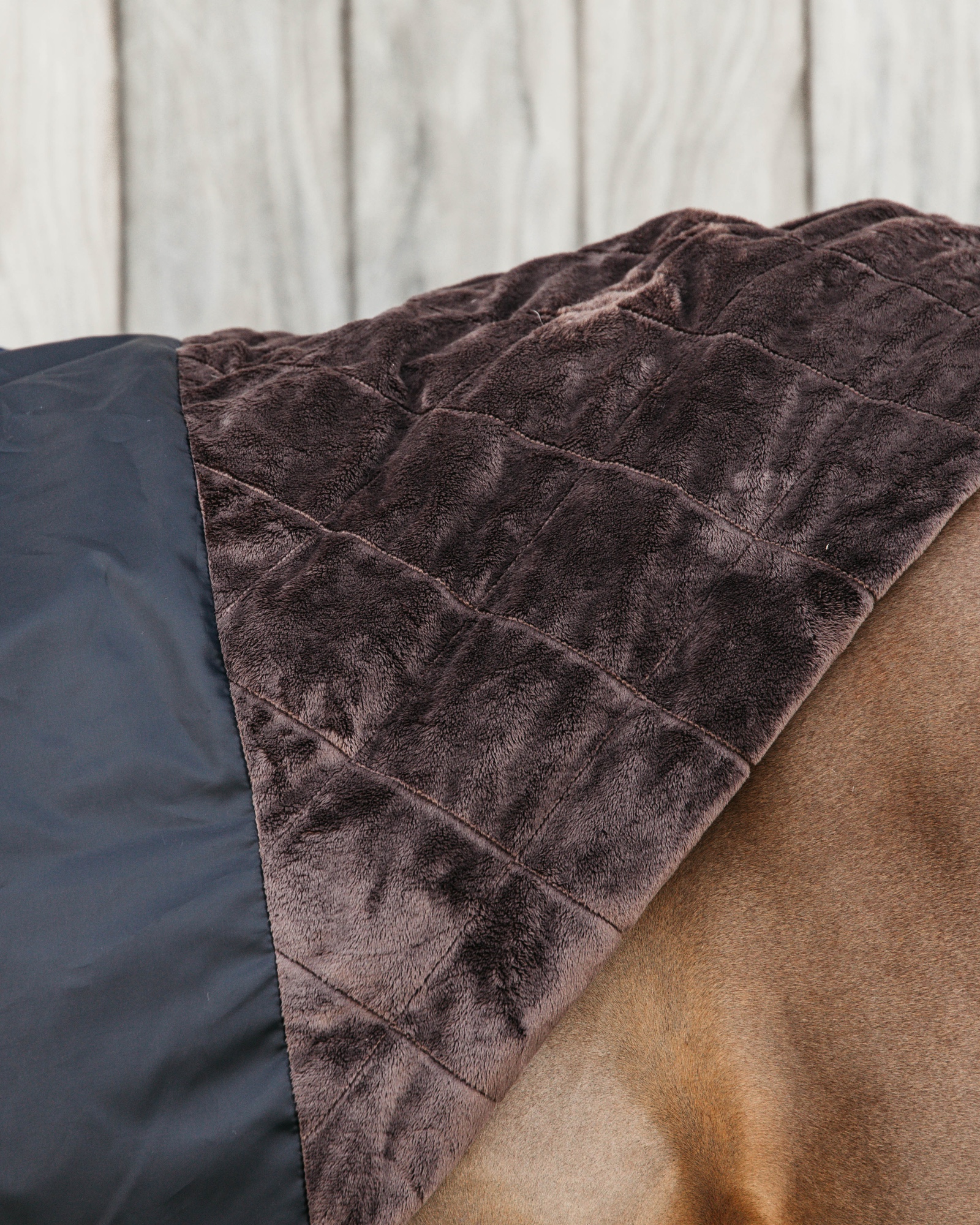 Outdoor rug All Weather waterproof Pro 300g