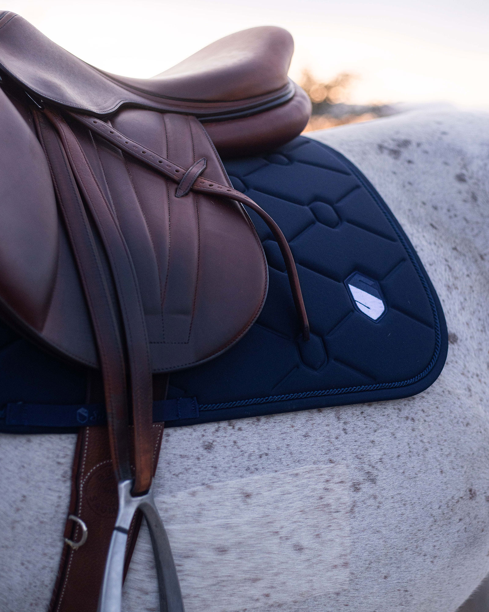 Springschabracke Embroidery