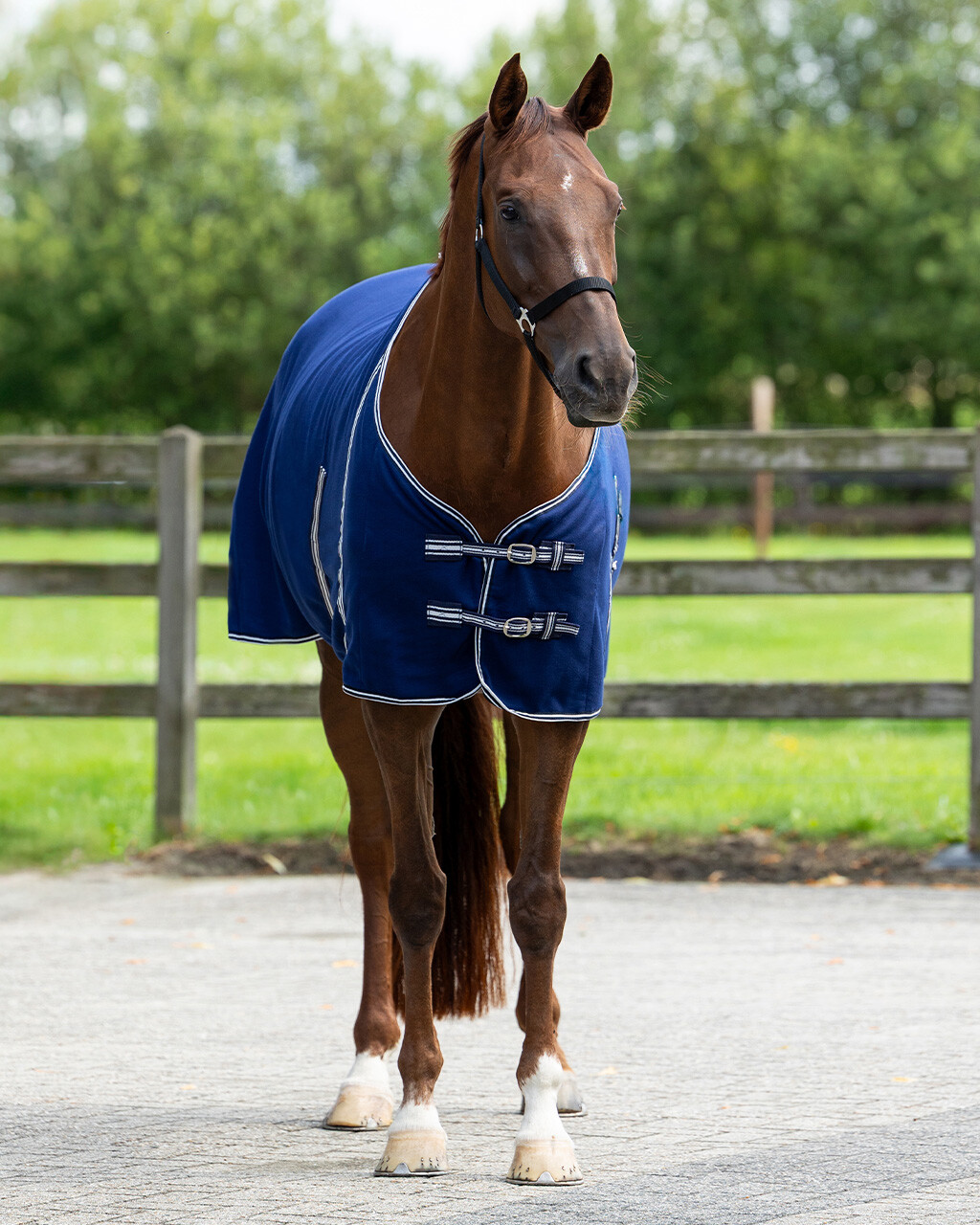 Basic sweat rug with cross surcingles