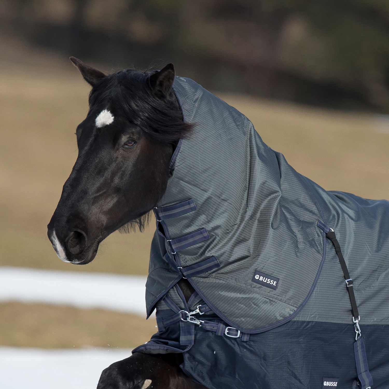 Halsteil Active Pro 75