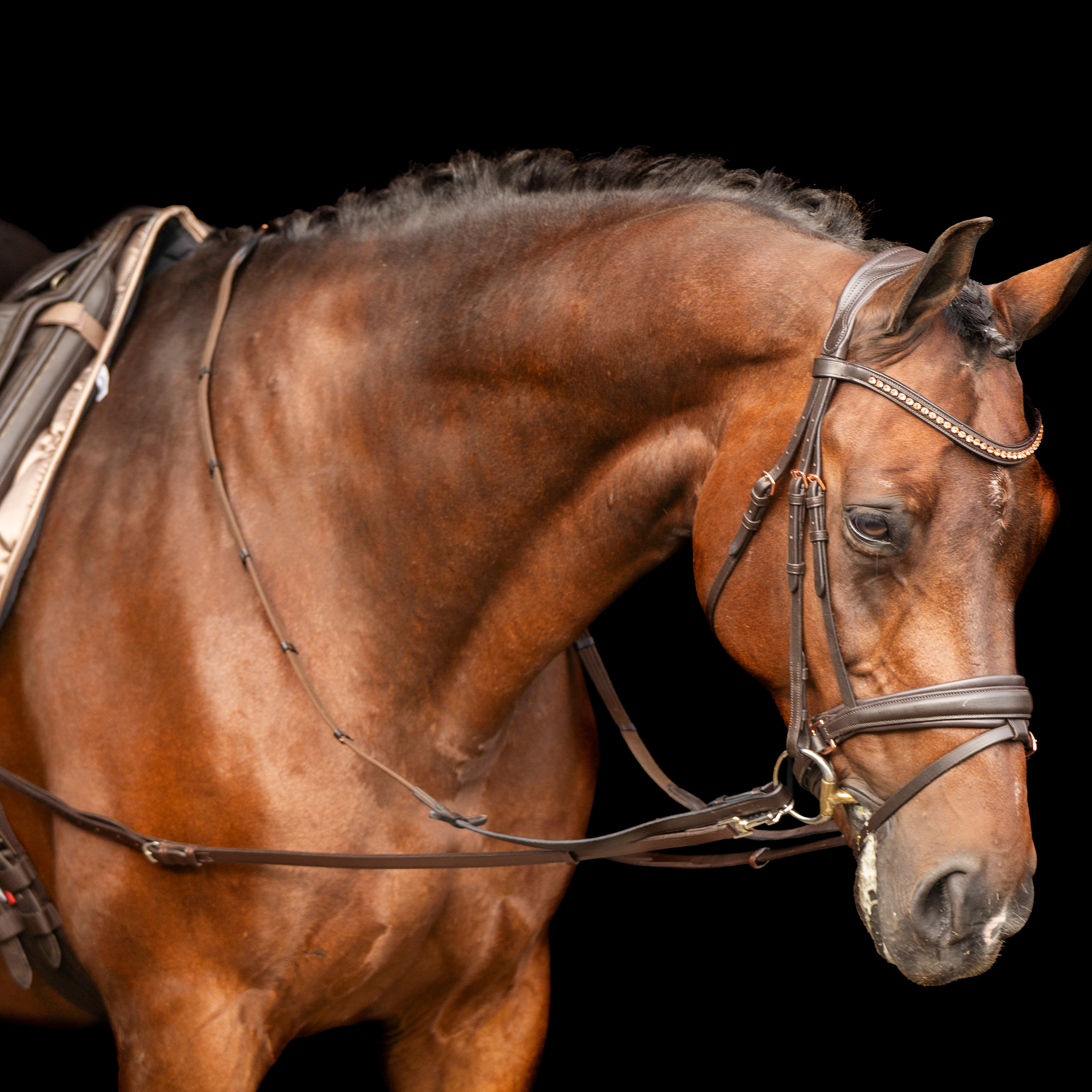 Ausbinder Leder Core